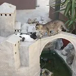 Ajla Διαμέρισμα Μόσταρ