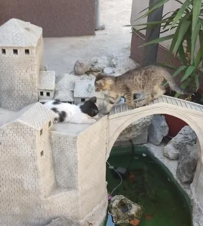 Ajla Appartamento Mostar