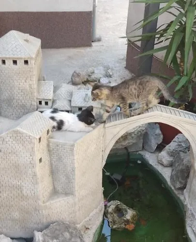 Ajla Apartman Mostar